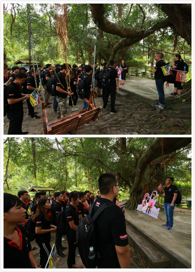 瑞馬壁掛爐廠家禪龍峽開心一日游 瑞馬壁掛爐廠家禪龍峽開心一日游