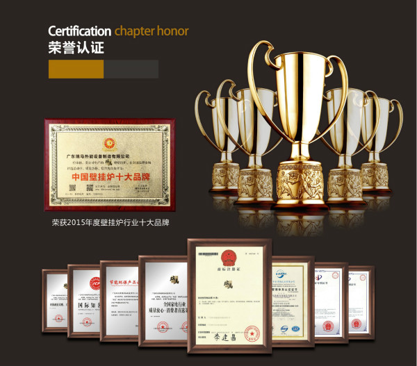 燃?xì)獗趻鞝t十大品牌瑞馬壁掛爐是進(jìn)口品牌嗎？